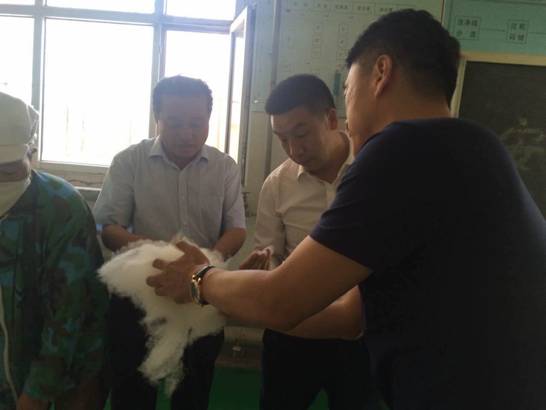 協(xié)會領(lǐng)導(dǎo)一行走訪企業(yè)開展調(diào)研活動