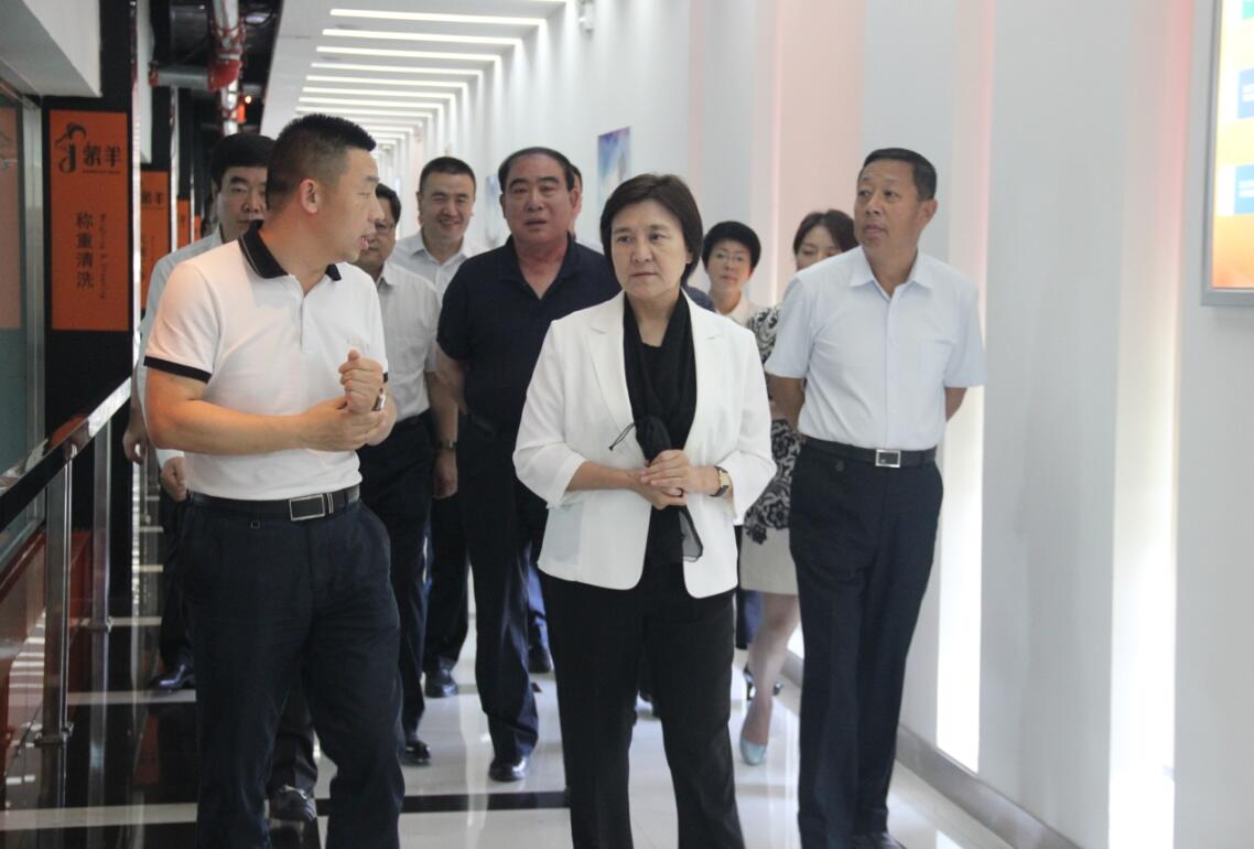 自治區(qū)黨委副書記、自治區(qū)主席布小林蒞臨協(xié)會(huì)會(huì)長單位——蒙羊牧業(yè)公司視察調(diào)研