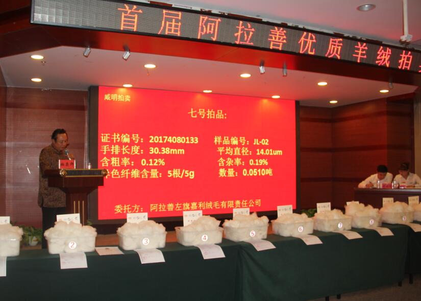 創(chuàng)新引領(lǐng)未來，品質(zhì)鑄就輝煌 首屆阿拉善優(yōu)質(zhì)羊絨拍賣會盛大舉行