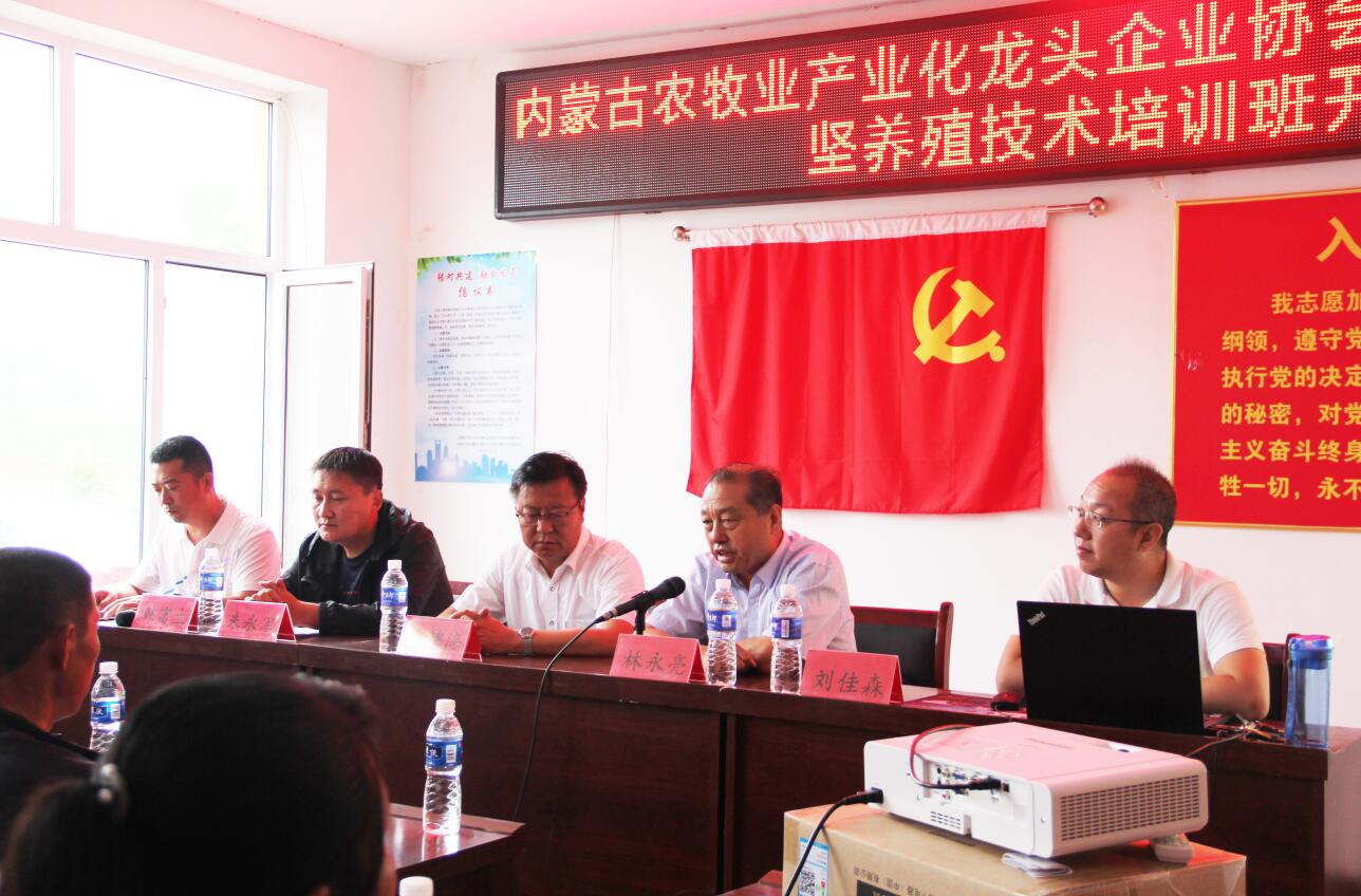 參與打贏脫貧攻堅戰(zhàn)產(chǎn)業(yè)扶貧公益培訓(xùn)在內(nèi)蒙古赤峰市寧城縣大黑石村舉辦